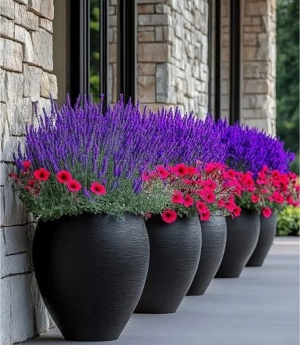 ProLiv Γαϊδουραγκαθο (400mg) +HerbsMix (456mg) photo review