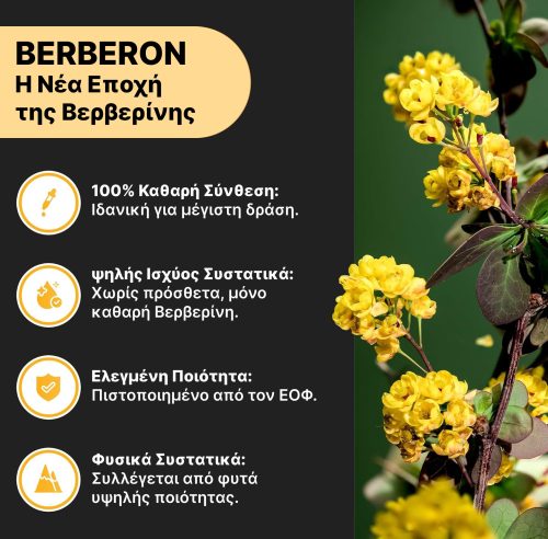 Berberon – 100% Βερβερίνη για Απώλεια Βάρους & Ρύθμιση Σακχάρου! photo review