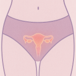 WOMEN’S ONLY – Menopause Formula 60 Caps | Ορμονική Ισορροπία & Ευεξία - Image 3