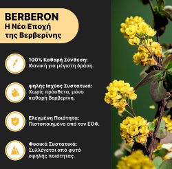 Bundle – Berberon® & Hot Silhouette® Inside-Out Πρόγραμμα Σιλουέτας - Image 2