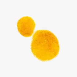 Beelift® Ορός Σύσφιξης Εφέ Botox - Image 2