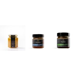 Bundle – Elixir 3: Υγεία, Ευζωία & Ζωτικότητα με Αρκουδόμελο
